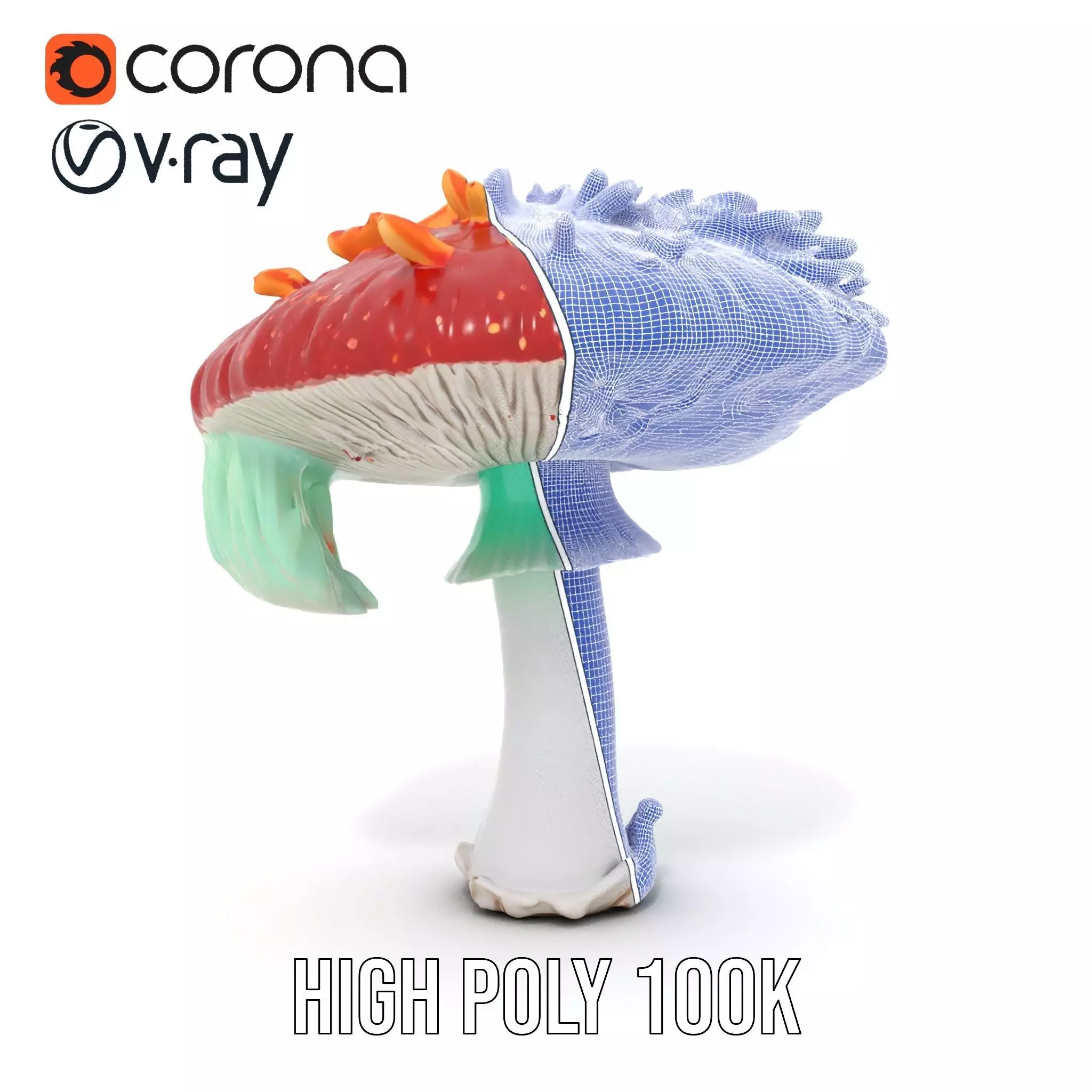 Vibrant Mushroom Cap model pack Low-poly 3D model_23