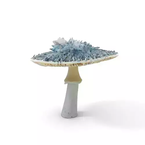 Luminous Mushroom model pack Low-poly 3D model