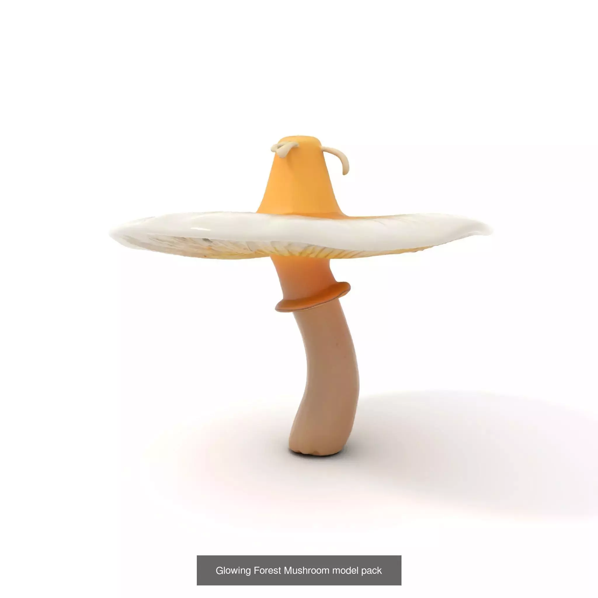 Glowing Mushrooms Universe 3D Model Collection_35
