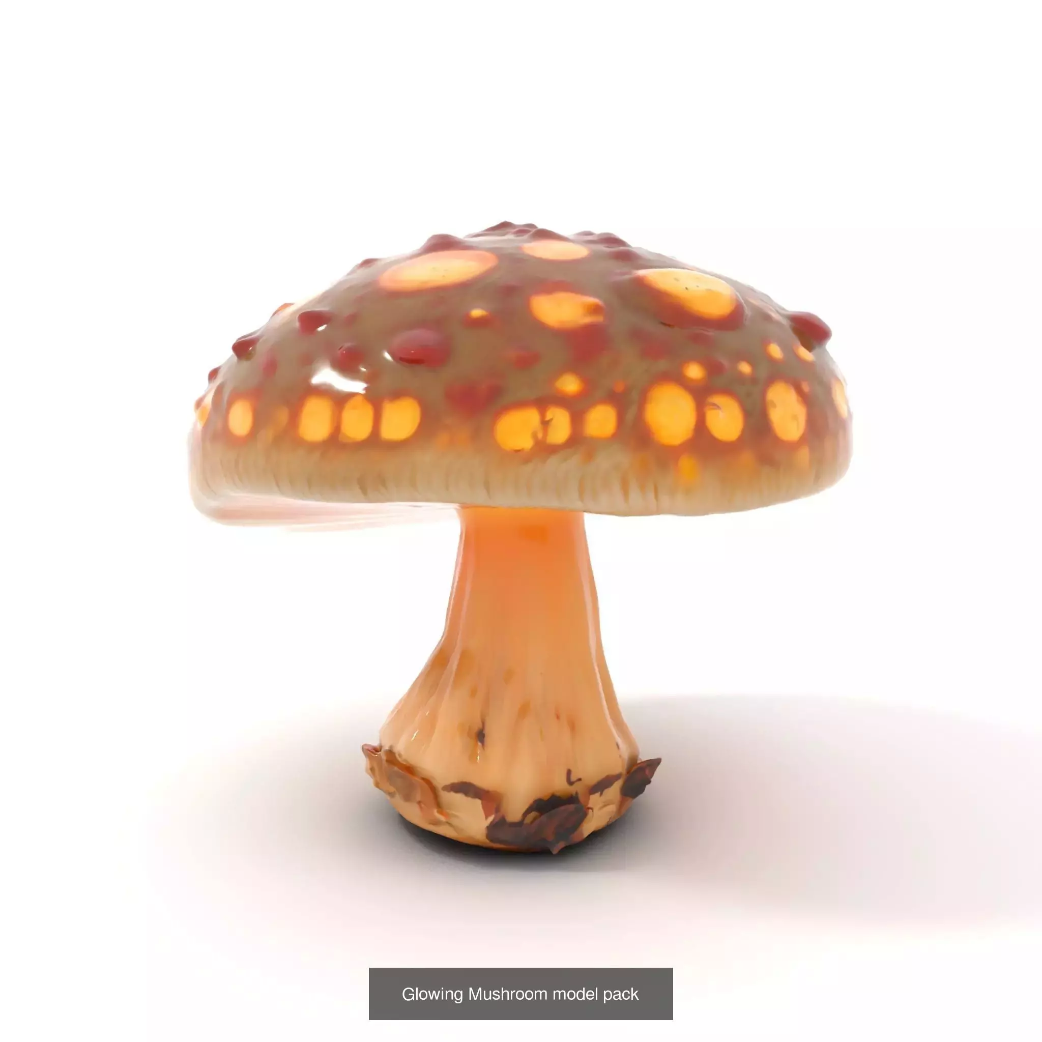 Glowing Mushrooms Universe 3D Model Collection_48