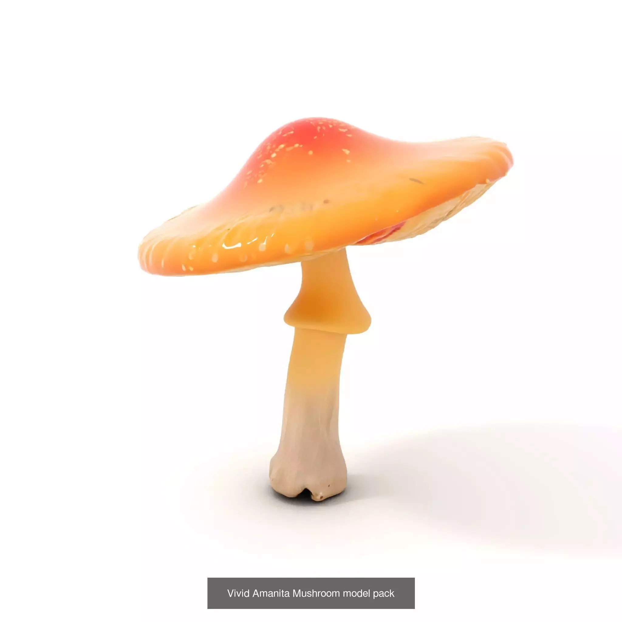 Glowing Mushrooms Universe 3D Model Collection_47