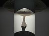 Glowing Mushrooms Universe 3D Model Collection_6