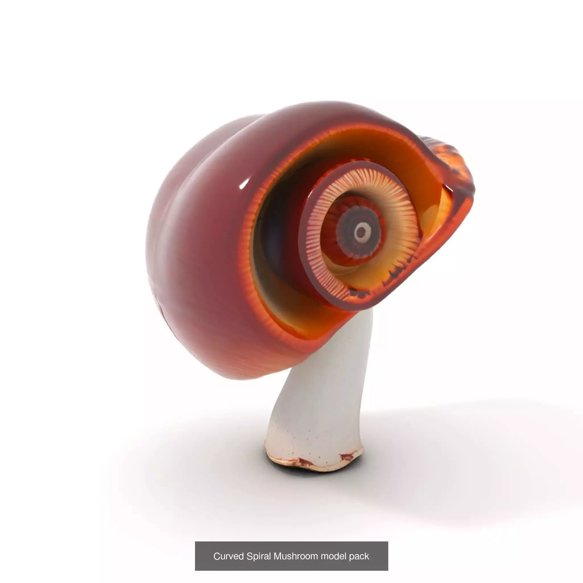 Glowing Mushrooms Universe 3D Model Collection_50