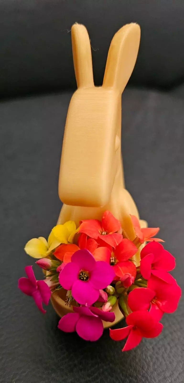 Kangaroo Pot 3D print model_14