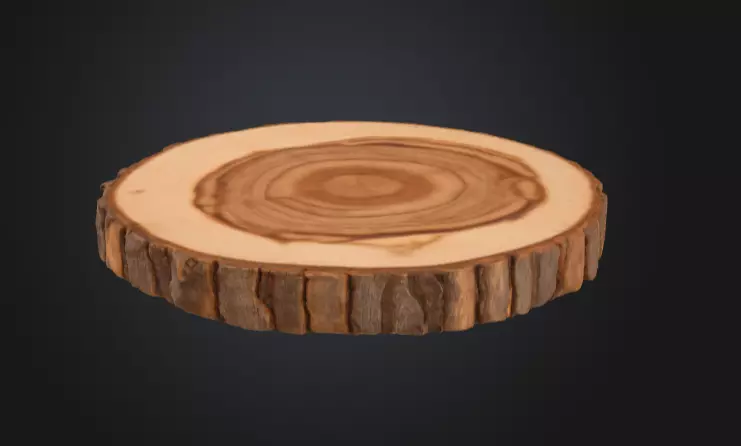Wooden Slice Tableau Low-poly 3D model_3