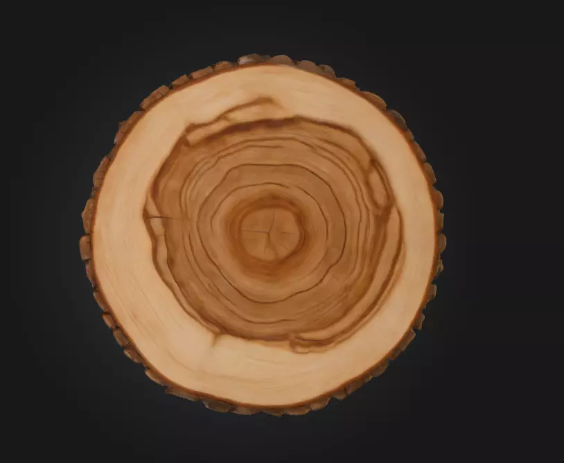 Wooden Slice Tableau Low-poly 3D model_6