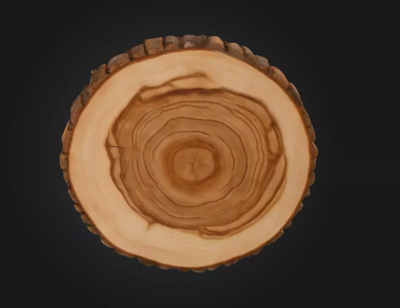 Wooden Slice Tableau Low-poly 3D model_5