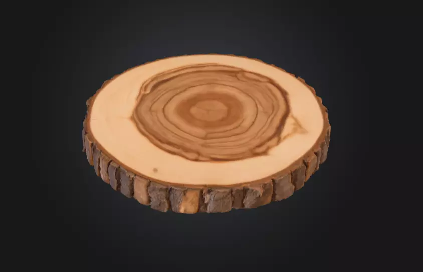 Wooden Slice Tableau Low-poly 3D model_1