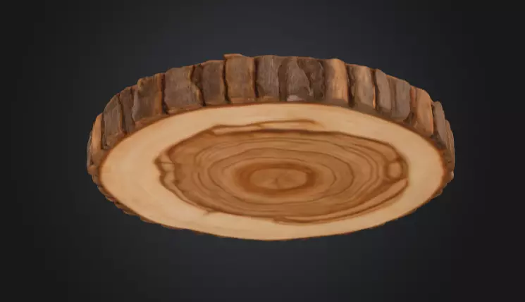 Wooden Slice Tableau Low-poly 3D model_4