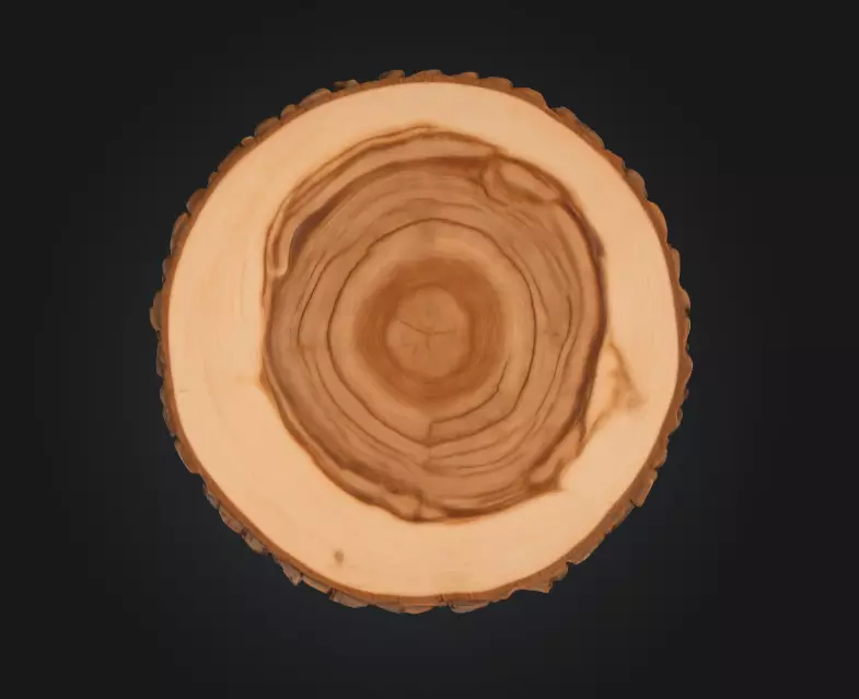 Wooden Slice Tableau Low-poly 3D model_2