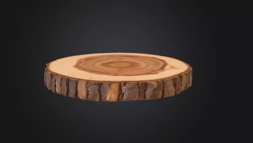 Wooden Slice Tableau Low-poly 3D model_0
