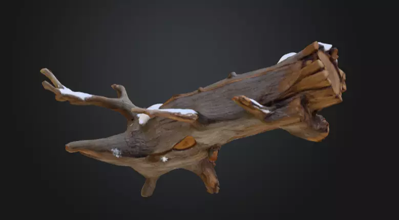 Snow Covered Fallen Log Low-poly 3D model_10