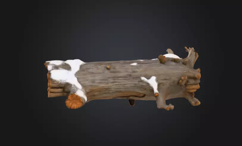 Snow Covered Fallen Log Low-poly 3D model_8