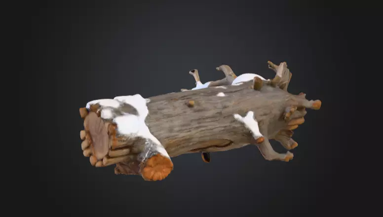 Snow Covered Fallen Log Low-poly 3D model_2