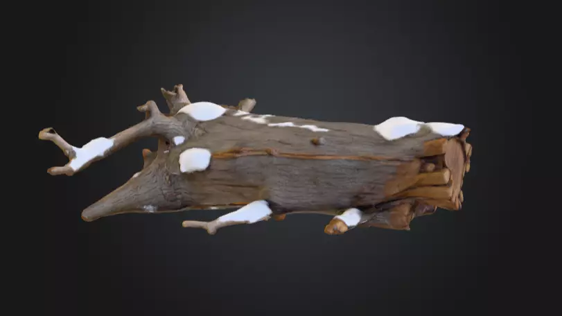 Snow Covered Fallen Log Low-poly 3D model_4