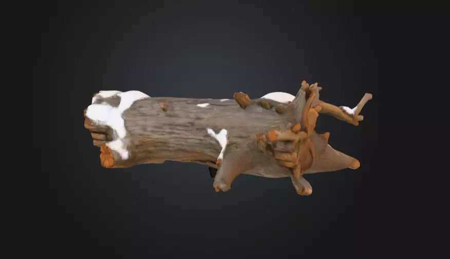 Snow Covered Fallen Log Low-poly 3D model_7