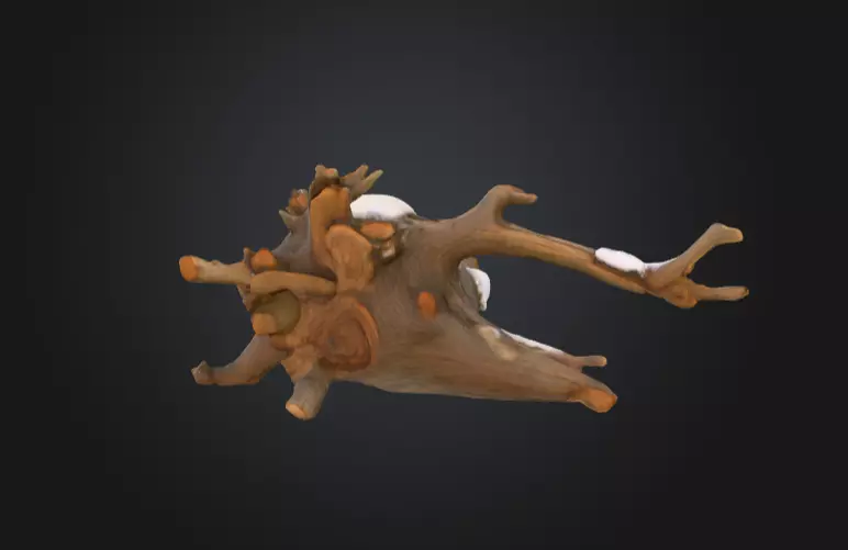 Snow Covered Fallen Log Low-poly 3D model_6