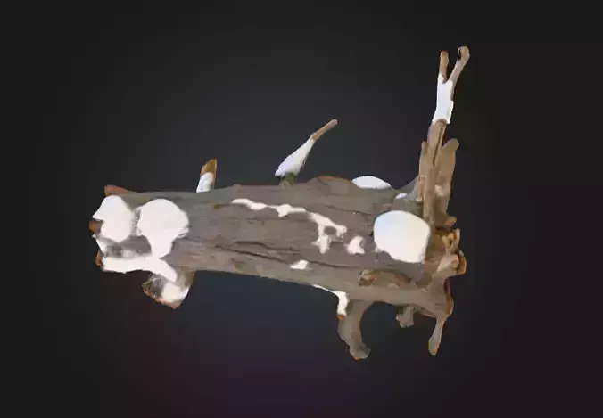 Snow Covered Fallen Log Low-poly 3D model