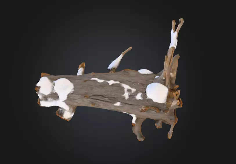Snow Covered Fallen Log Low-poly 3D model_0