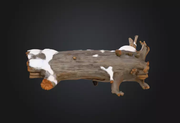 Snow Covered Fallen Log Low-poly 3D model_1
