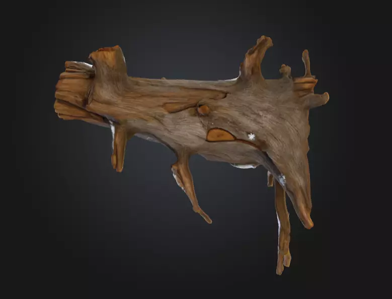 Snow Covered Fallen Log Low-poly 3D model_9