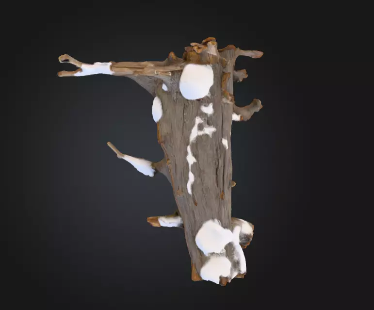 Snow Covered Fallen Log Low-poly 3D model_12