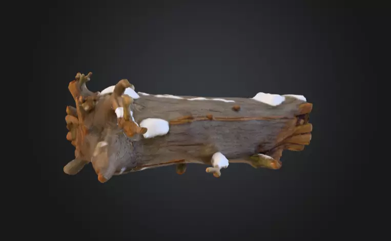 Snow Covered Fallen Log Low-poly 3D model_5