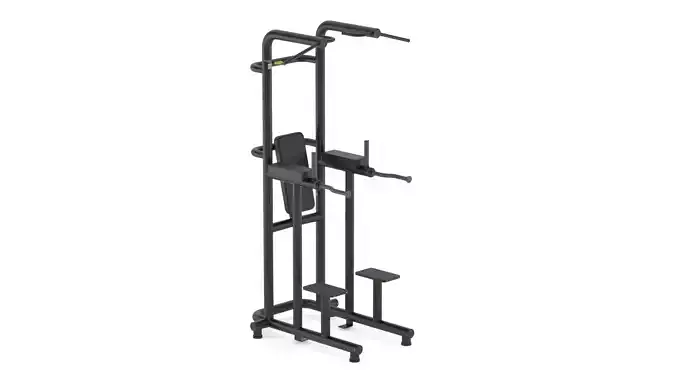 Technogym Bench Chin Up Dip Leg Raise 3D model