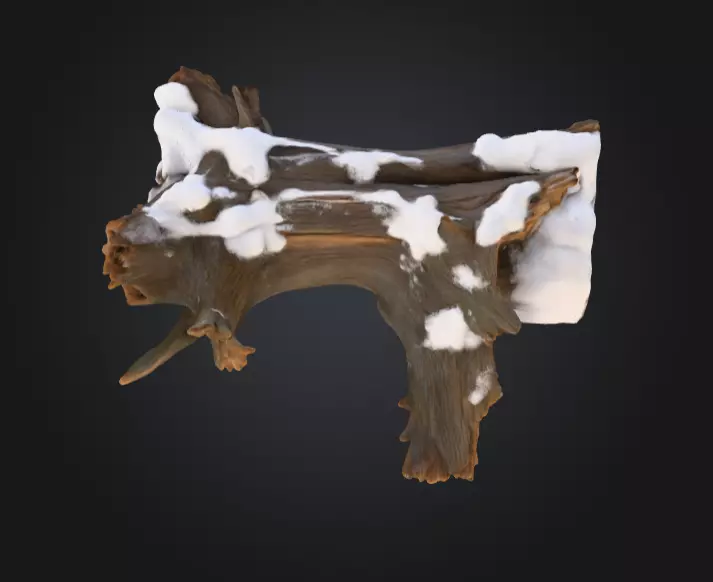 Snow Covered Fallen Log Low-poly 3D model_11