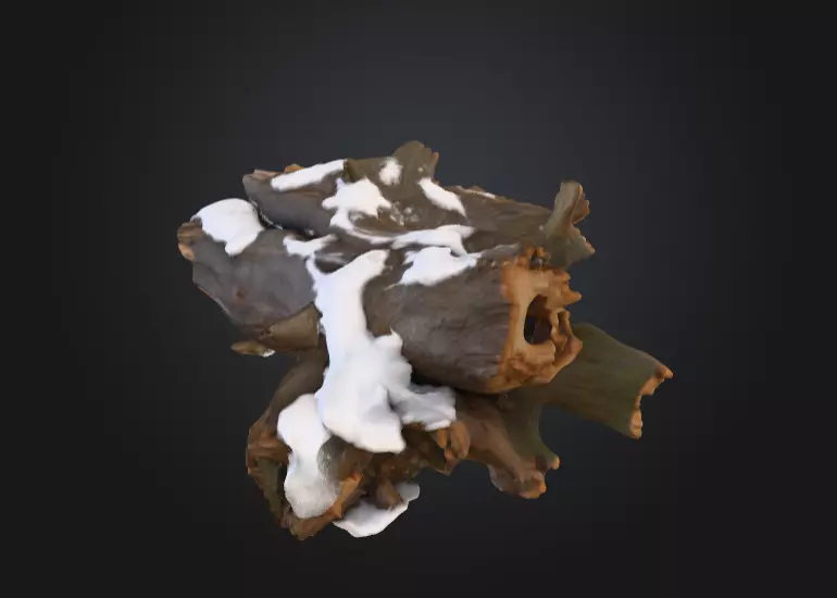 Snow Covered Fallen Log Low-poly 3D model_1