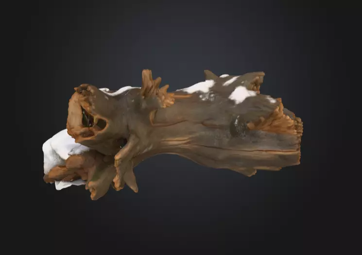 Snow Covered Fallen Log Low-poly 3D model_2