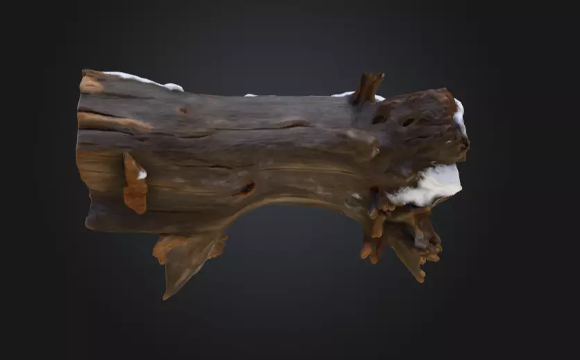 Snow Covered Fallen Log Low-poly 3D model_7