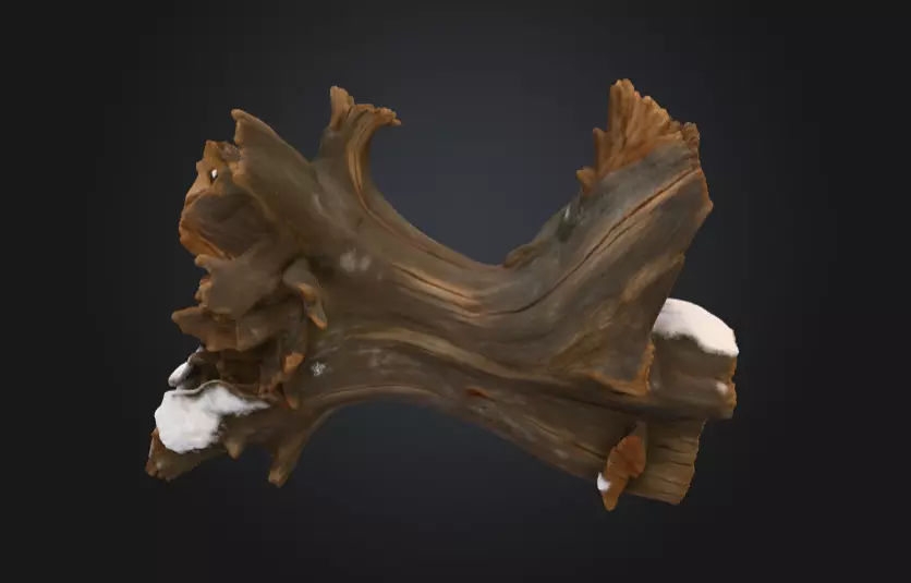 Snow Covered Fallen Log Low-poly 3D model_5