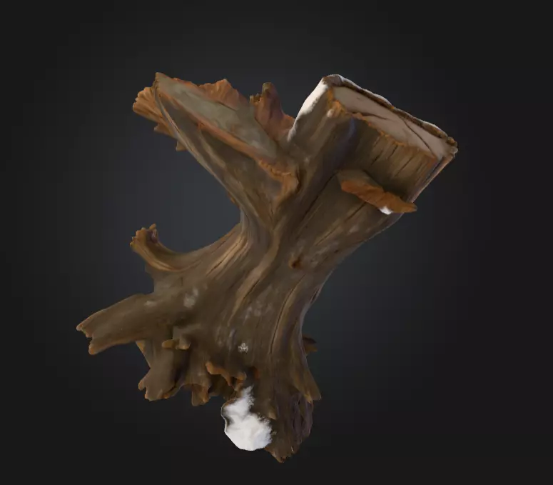 Snow Covered Fallen Log Low-poly 3D model_6