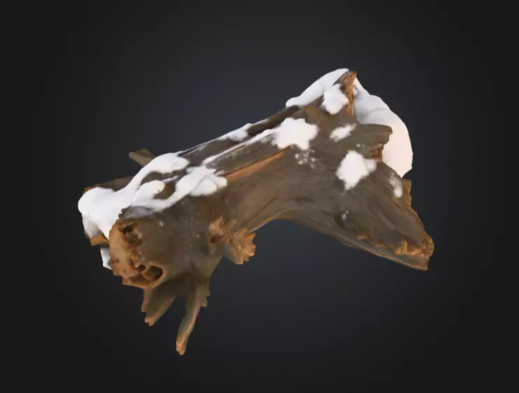 Snow Covered Fallen Log Low-poly 3D model_10