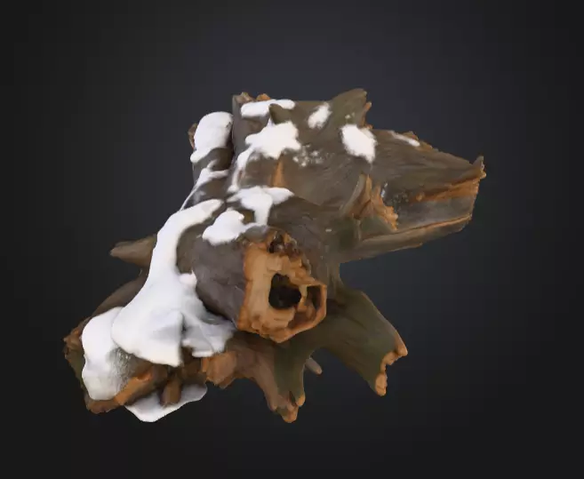 Snow Covered Fallen Log Low-poly 3D model_9