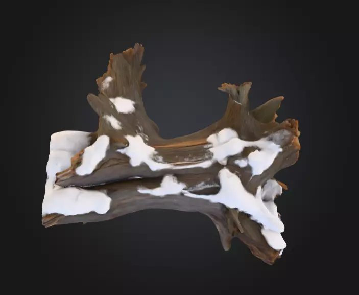 Snow Covered Fallen Log Low-poly 3D model_8