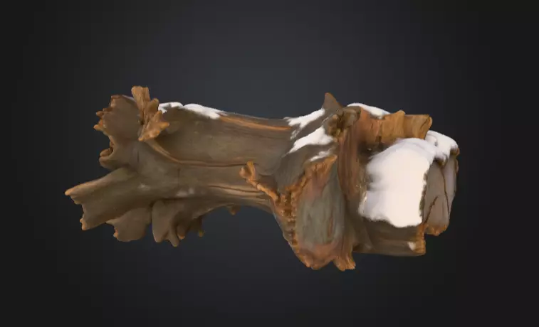 Snow Covered Fallen Log Low-poly 3D model_3