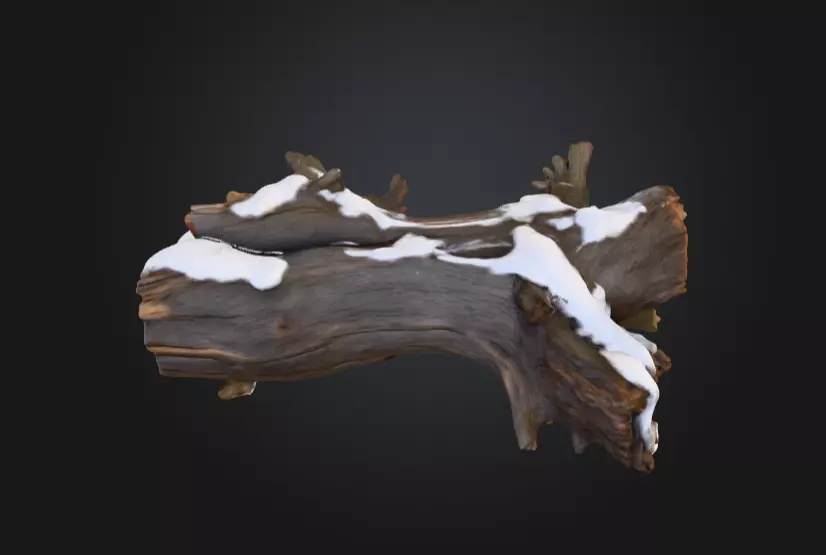 Snow Covered Fallen Log Low-poly 3D model_0