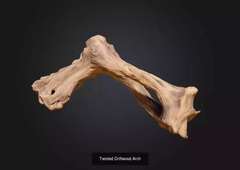 Nature Timber and Driftwood Collection _3