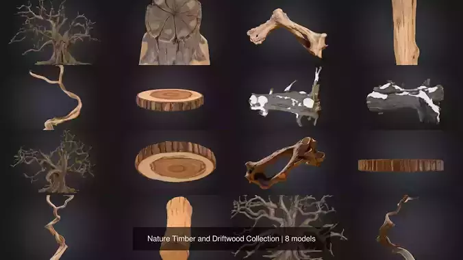 Nature Timber and Driftwood Collection 