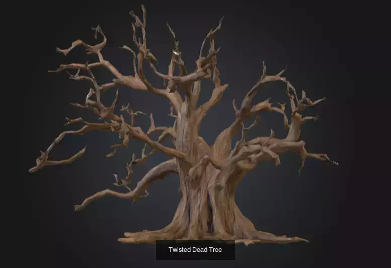 Nature Timber and Driftwood Collection _1
