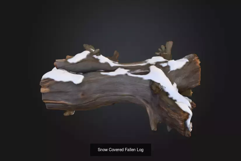 Nature Timber and Driftwood Collection _8
