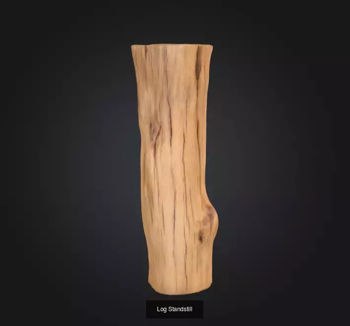 Nature Timber and Driftwood Collection _4