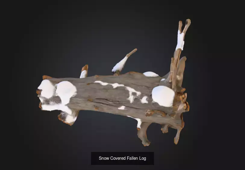 Nature Timber and Driftwood Collection _7