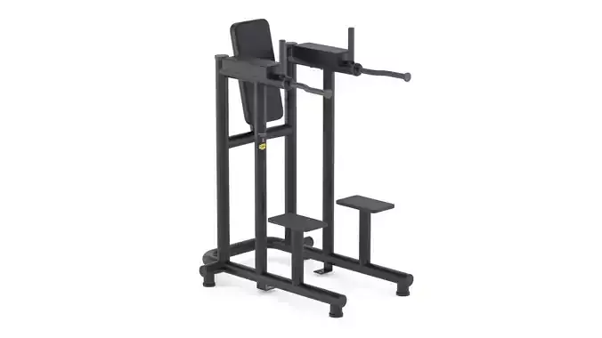 Technogym Bench Leg Raise Dip