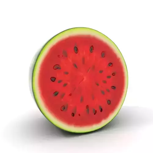 Juicy Watermelon Slice model pack Low-poly 3D model