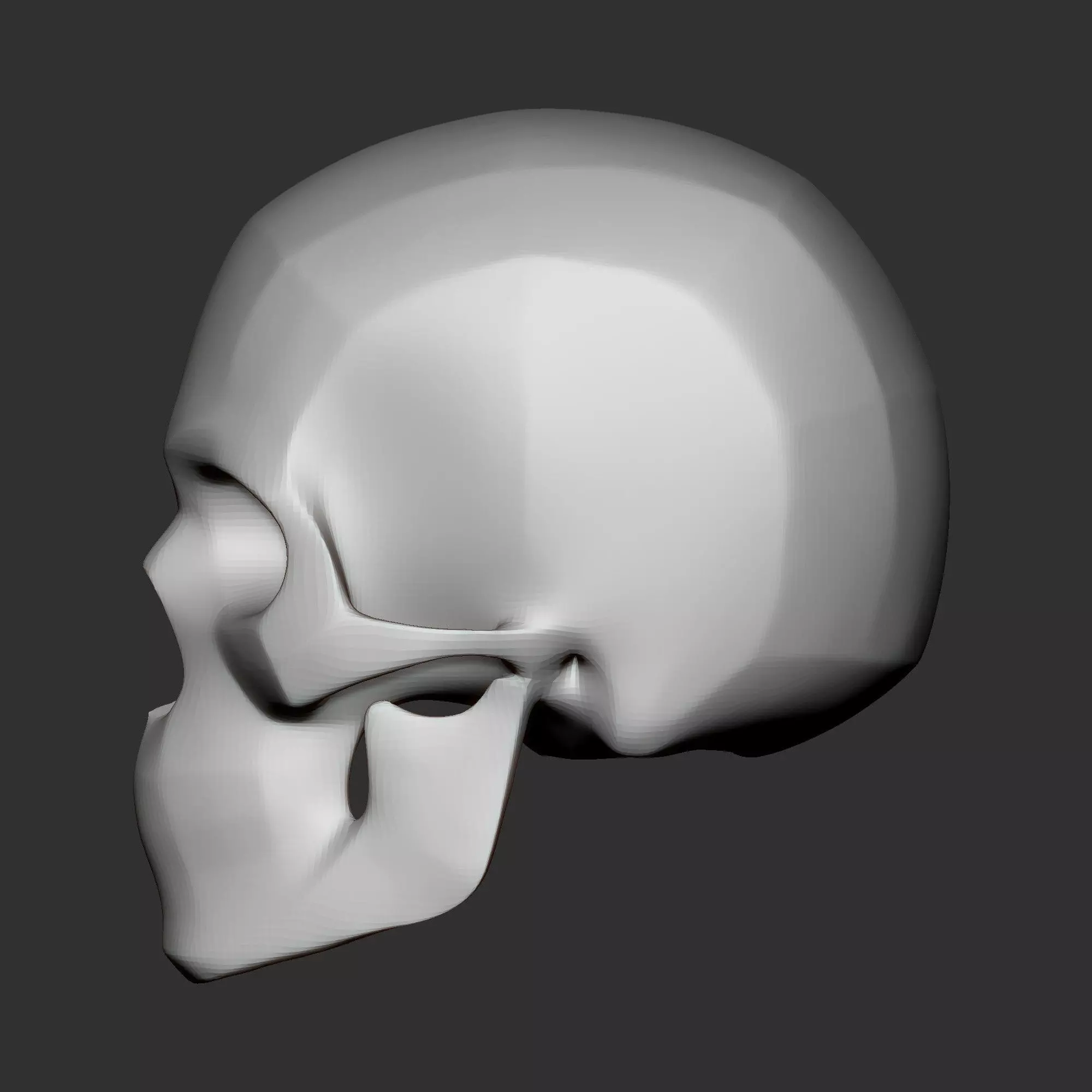 High Poly Human Skull Base Mesh Anatomy Study Model 3D print model_7
