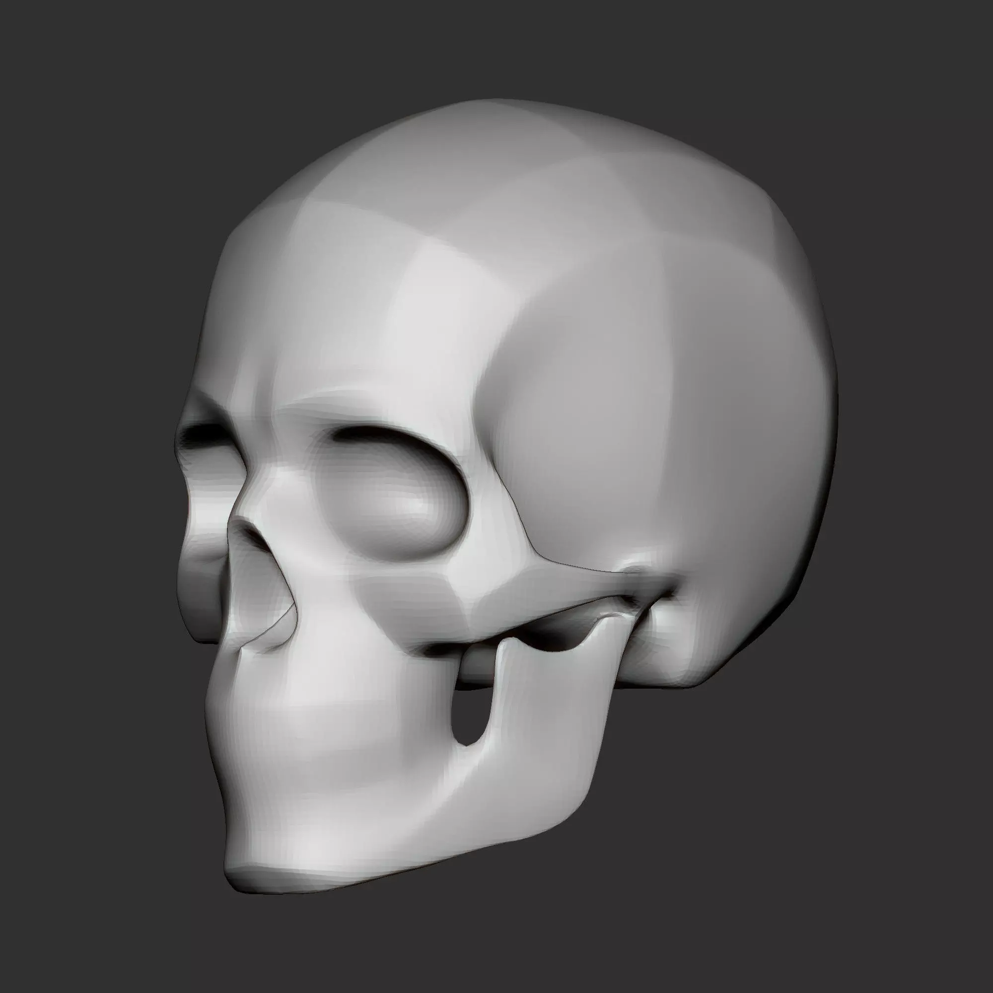 High Poly Human Skull Base Mesh Anatomy Study Model 3D print model_0