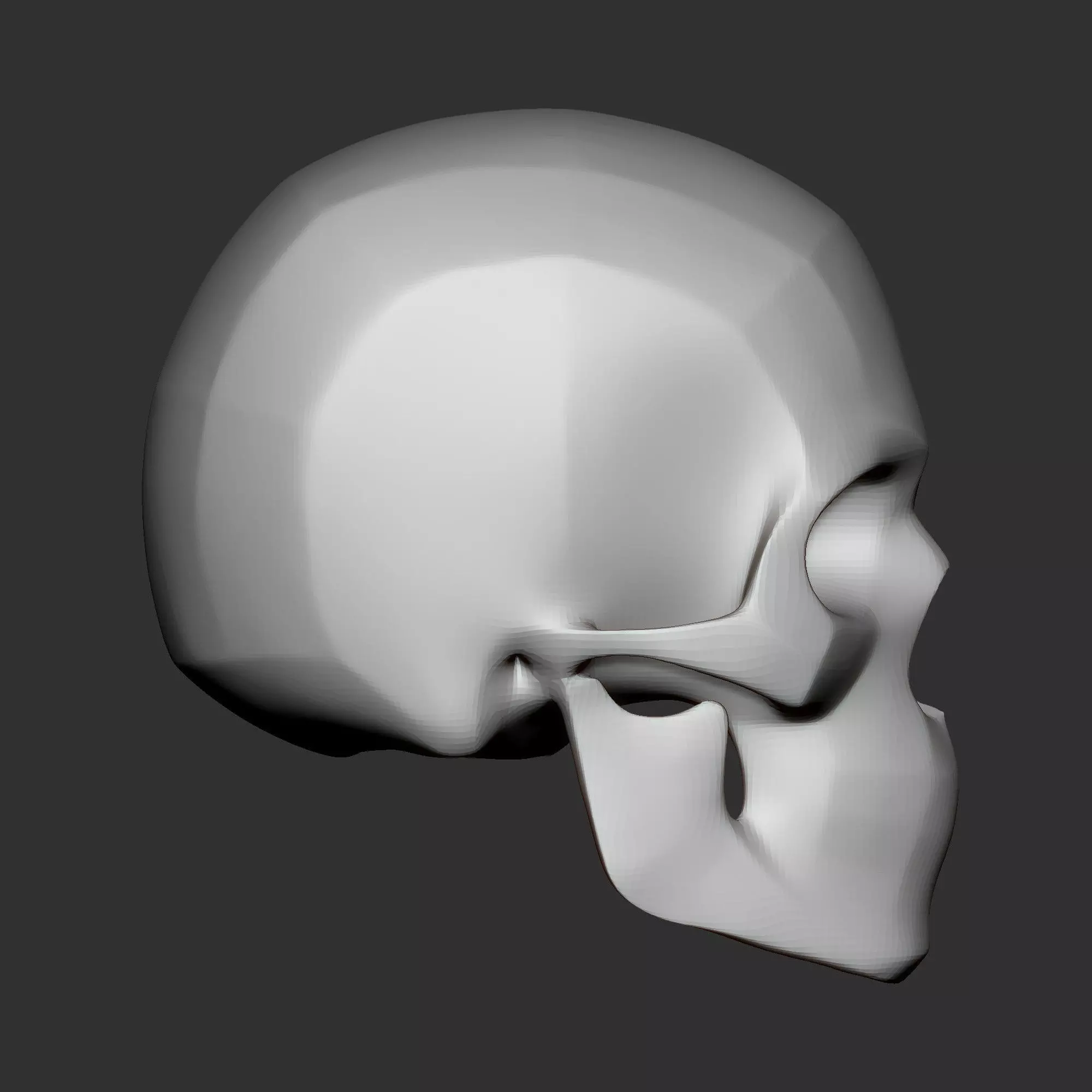 High Poly Human Skull Base Mesh Anatomy Study Model 3D print model_3